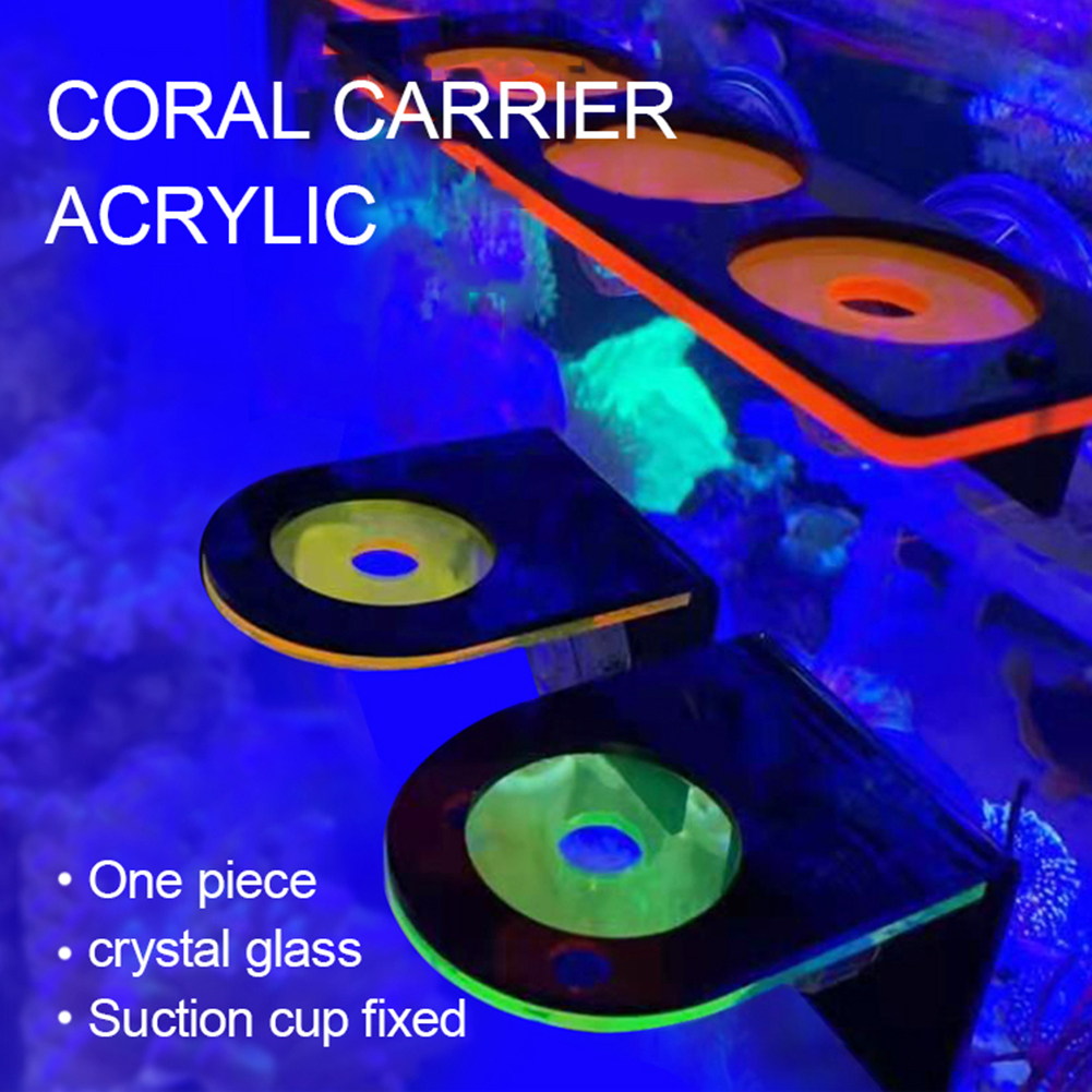 Fish Tank Fluorescent Coral Frag Rack Acrylic Aquarium Reef with Plugs Holder Suction Cup Mount Water Plant Stand Accessories