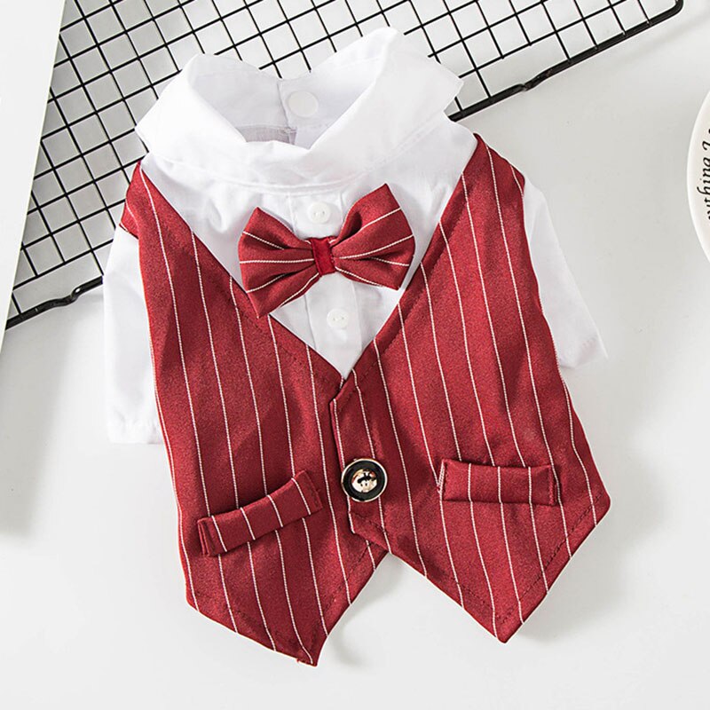 Beau Costume de fête pour chien et chat, vêtements solides à la , veste pour animaux de compagnie pour chats, petits chiens, vêtements de fête d'anniversaire et de mariage: M / Rouge
