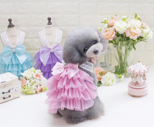 Vêtements pour animaux de compagnie de luxe pour petit chien robe princesse mariage Tutu robe nœud printemps été chien vêtements: Rose / L