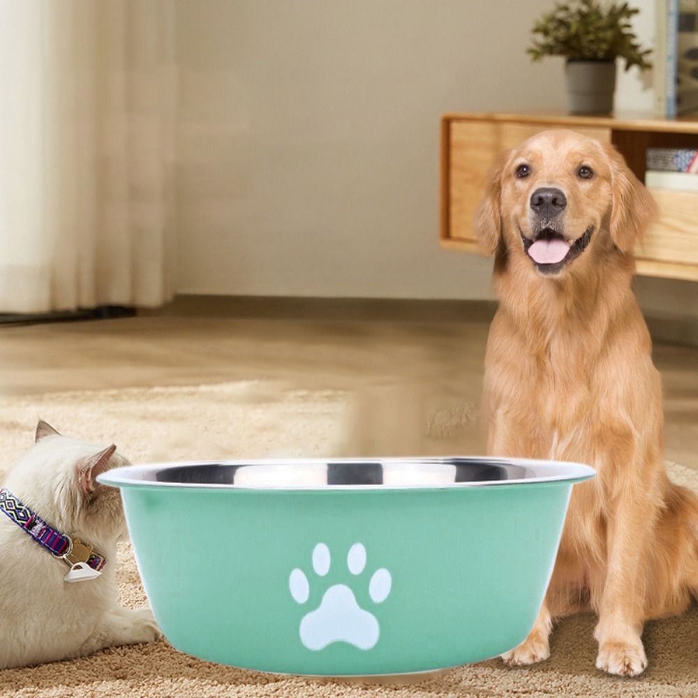 Bol pour chien en acier inoxydable de grande capacité, bol d'eau à bicouche antidérapant pour chien, mangeoires pour animaux de compagnie, motif patte de chat, bol d'alimentation pour chat, maison