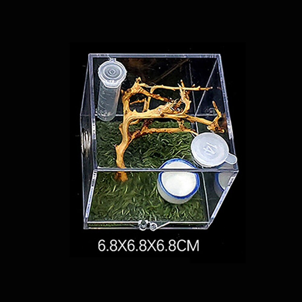 Caja de plástico para cría de insectos, jaula de alimentación transparente para araña saltamontes, Grillo, escorpión, escarabajo, Mantis: 6.5x6.5x6.5cm