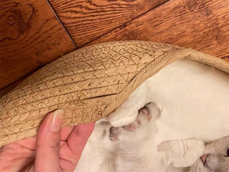 Cat Mat House Pet Bed Kennel Dog Beds 100% Handmade Bamboo Weaving Four Season Cozy Nest Removable Cushion Sleeping Bag CW268