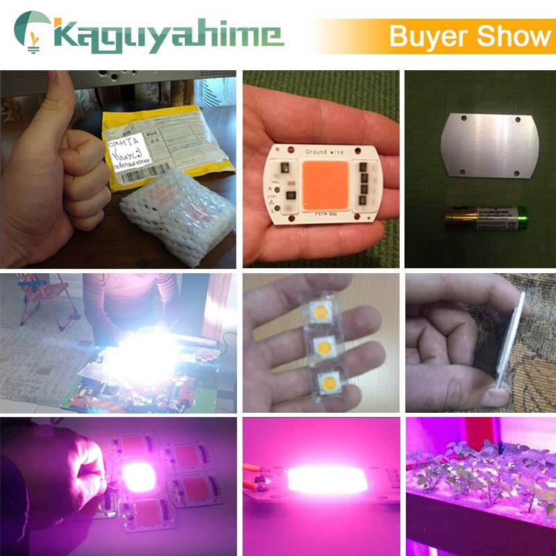 Kaguyahime LED COB Chip 220V 20W 30W 50W 100W DIY Integrated Chip Rectangular Lamp No Need Driver For Spotlight Floodlight Bulb