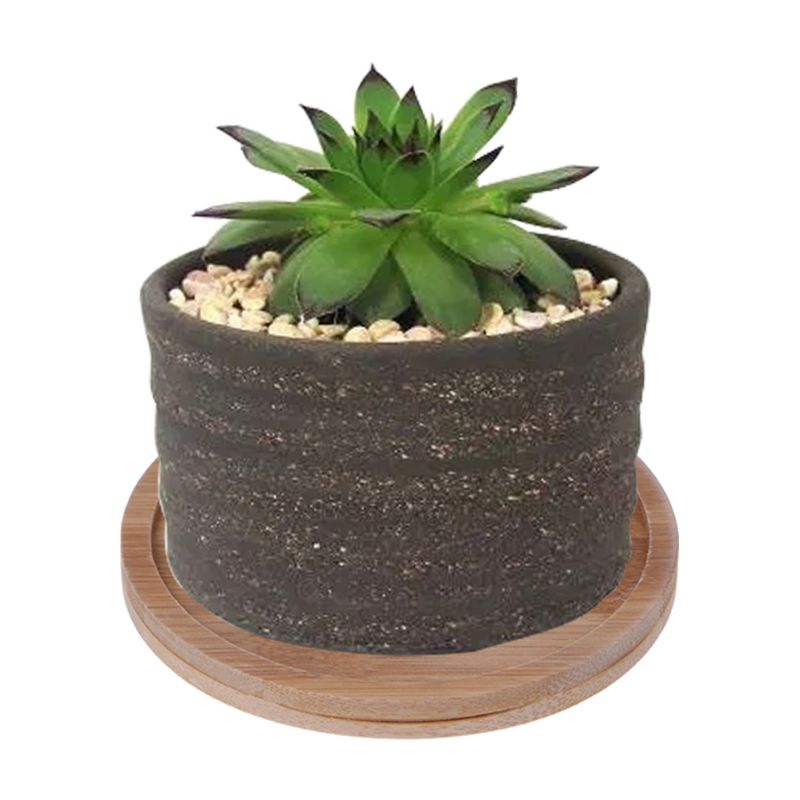 Rond bambou bois soucoupe plante plateau Mini plante Pot de fleur support faveur Succulent Pot plateau Simple maison balcon déco
