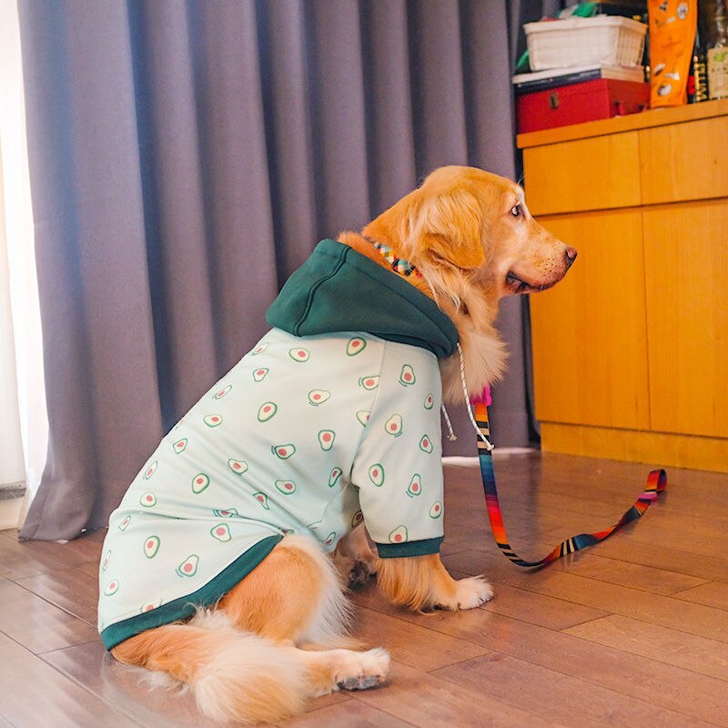 ]Large dog clothes autumn and winter clothes Labrador Golden Retriever Samoyed autumn and winter clothes