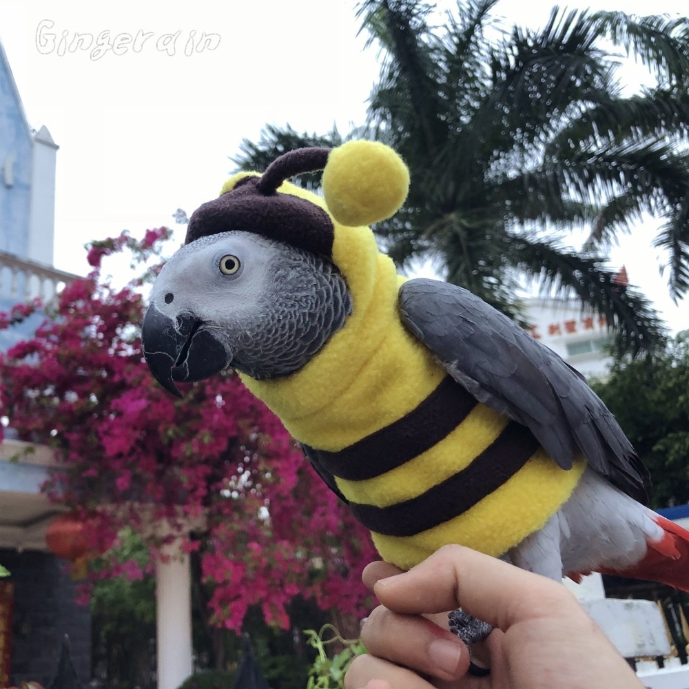 Gingerain Bird clothes Parrot clothes red scarf original hand-made custom bird clothes Hooded Sweater apis florea