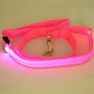 Laisse en Nylon pour chien, sécurité nocturne, LED clignotante dans la nuit, collier pour animaux de compagnie, dessin pour chat, petit gabarit: pink / Width 20mm
