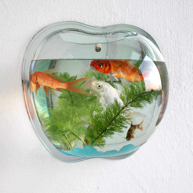 Fish Bowl Acrylic Hanging Aquarium Wall Mounted Pet Fish Tank: Clear / 26x28x12cm
