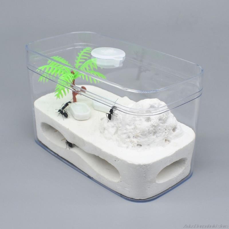Ant Farm Clear Plastic Box Ant Plaster Home for Kid Study of Ant Behavior Ant Nest Farm Educational Formicarium for Ant
