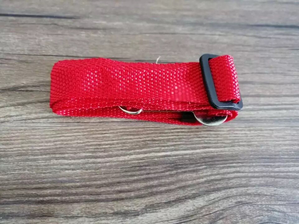 10Pcs Pet Seat Belt 11 Kleuren Epet GS001 Zo Laag Als 0.36Usd Per Stuk: 10pcs red