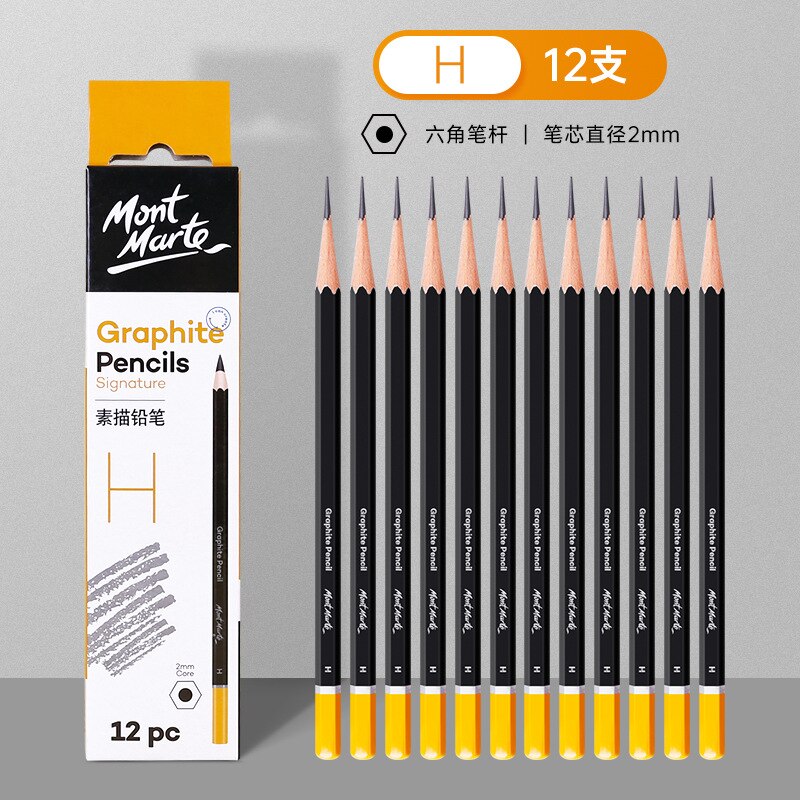 12pc Charcoal Graphite Sketch Pencils 3H 2B 7B 12B Soft Medium Hard Art Painting Wood Drawing Pencil For Artist Kid: H