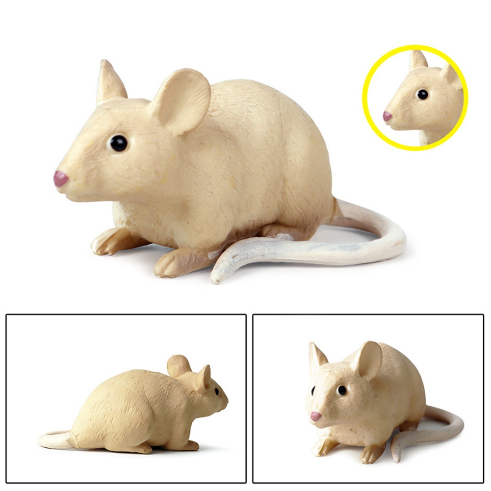 Realistisk mus rotte opossum dyremodel figurer skrivebordsindretning uddannelse børnelegetøj