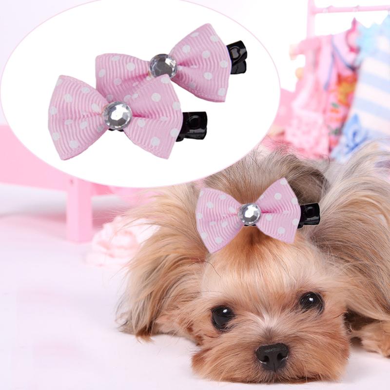 Lot d'épingles à cheveux pour chien et chat, 10 pièces/lot, jolis accessoires de toilettage pour animaux de compagnie