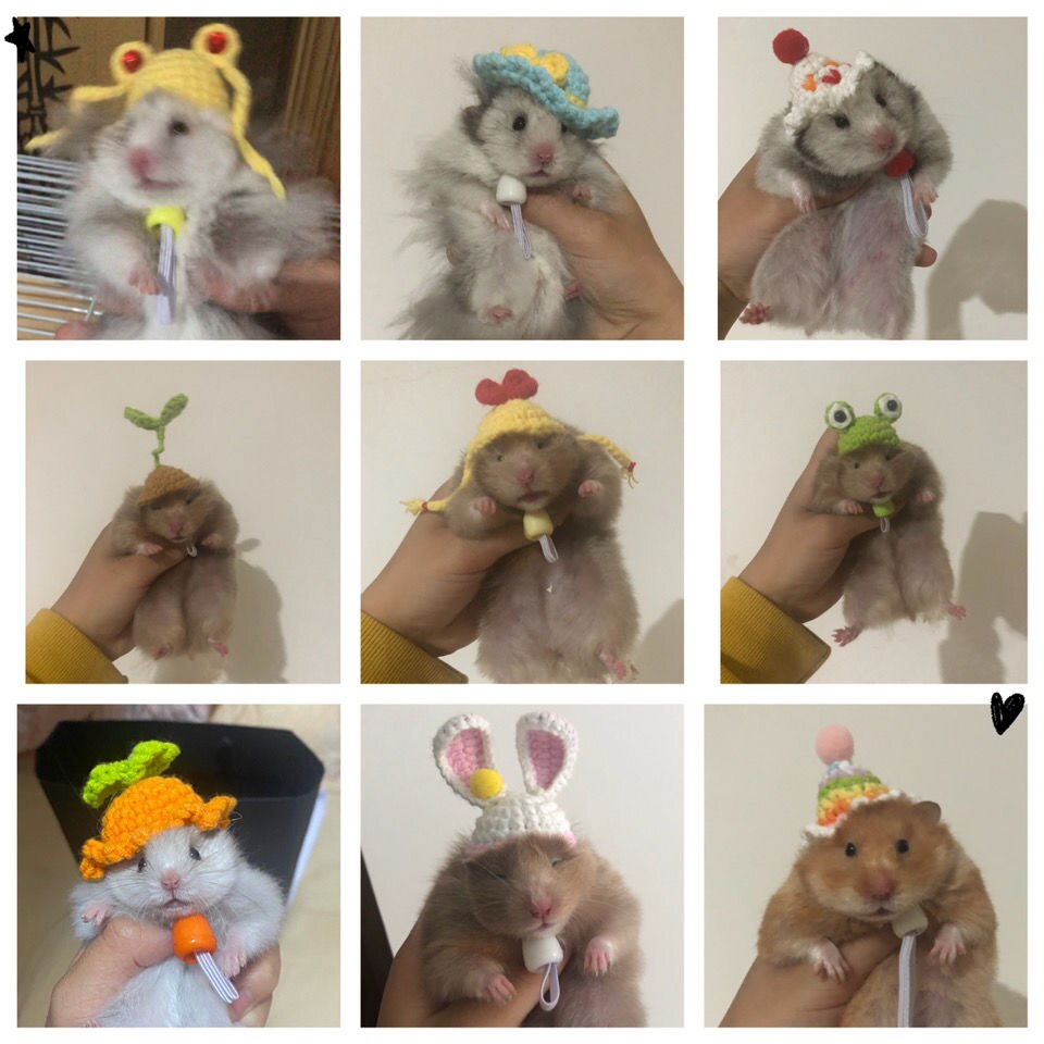 Hand Crocheted Hamster Hat Hamster Accessories Chipmunk Dwarf Rat Small Animal Hat Cute Hamster Clothes Hamster Supplies