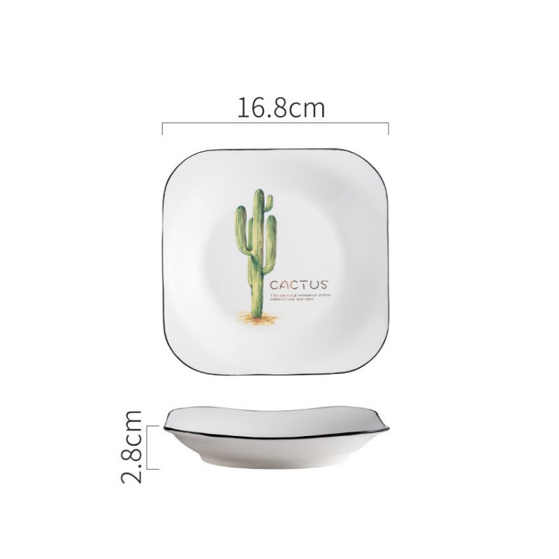 Vierkant porseleinen bord, cactus, dessertbord, broodbord, fruitsaladebord, scandinavisch ontbijtbord, botervloot, keukenservies: Bs