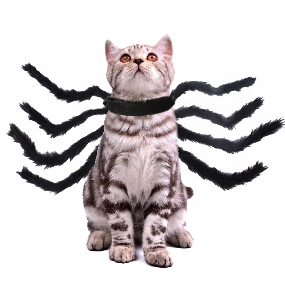 Spinne Flügel Kleidung Katze Spinne-geformt umgewandelt Kleid Pro Welpen Schwarz Katzen Halloween Haustier Katze Hund Kostüme niedlich: Schwarz / M