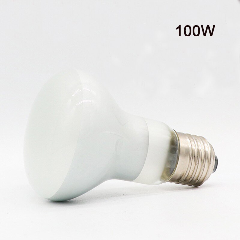 Lámpara calefactora para reptiles, luz roja cálida de noche, aislamiento térmico para lagartos, tortugas, iluminación de animales: White-100W