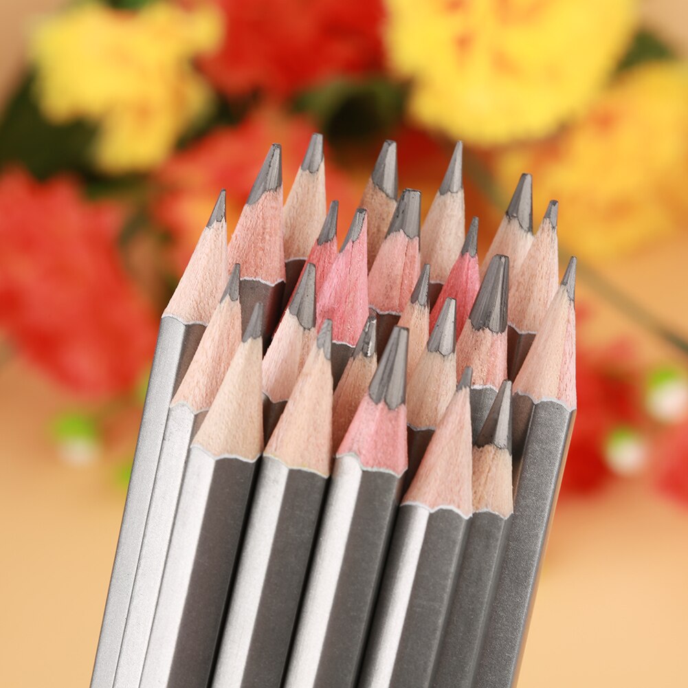 24 pièces Croquis Art Graphite Dessin Crayon de Couleur Non toxique Peinture Crayon 9H-14B