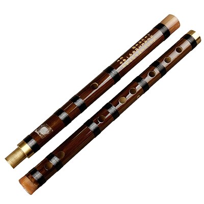 Flauta china tradicional hecha a mano para principiantes y amantes de la música, café de bambú, de dos secciones, llamada Dizi tradicional, de madera: D Key