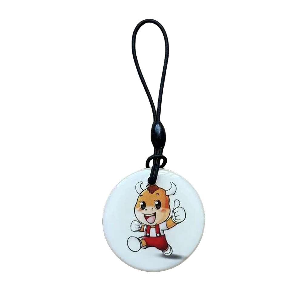 Porte-clés RFID réinscriptible, étiquette RFID, copie d'accès, carte de données vierge, anneau de jeton d'identification, porte-clés, contrôle d'accès ClhbKeychain, 125 tiens z, T5577, EM4305, 1PC