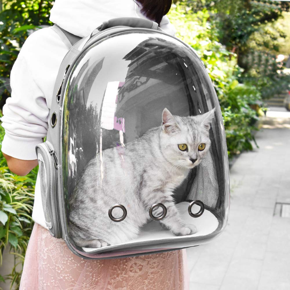 Ademend Kat Draagtassen Pet Carriers Kleine Hond Kat Rugzak Reizen Ruimte Capsule Kooi Huisdier Transport Bag Draagtas Voor Katten