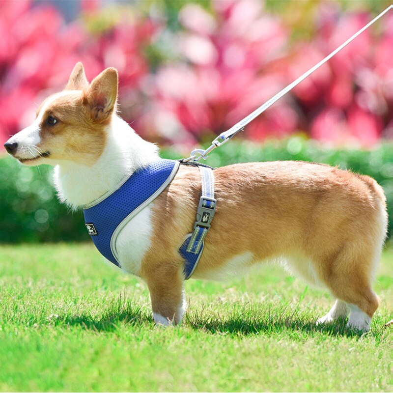Novo cão pet reflexivo cinta de peito malha respirável peito de volta pequeno e médio porte coleira de cachorro gato pet arnês de náilon collar pug