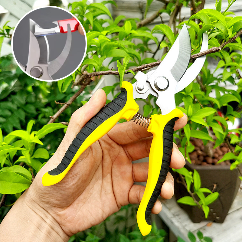 Messerschärfer, Schraubenschlüssel, Flaschenöffner, 3-in-1, multifunktionaler Messerschärfer, tragbarer Gartenschere-Schaber für den Außenbereich