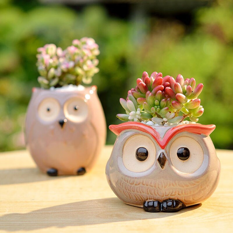 maison jardin décoration en céramique fleur Pos mignon hibou Miniature modèle Succulent Pot de fleur planteur décorations de bureau