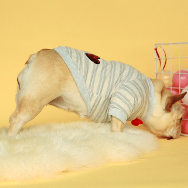 Hundkläder valp hund fransk bulldog corgi brittisk bulldog gentlemantröja benvit rosett skjorta med rund hals