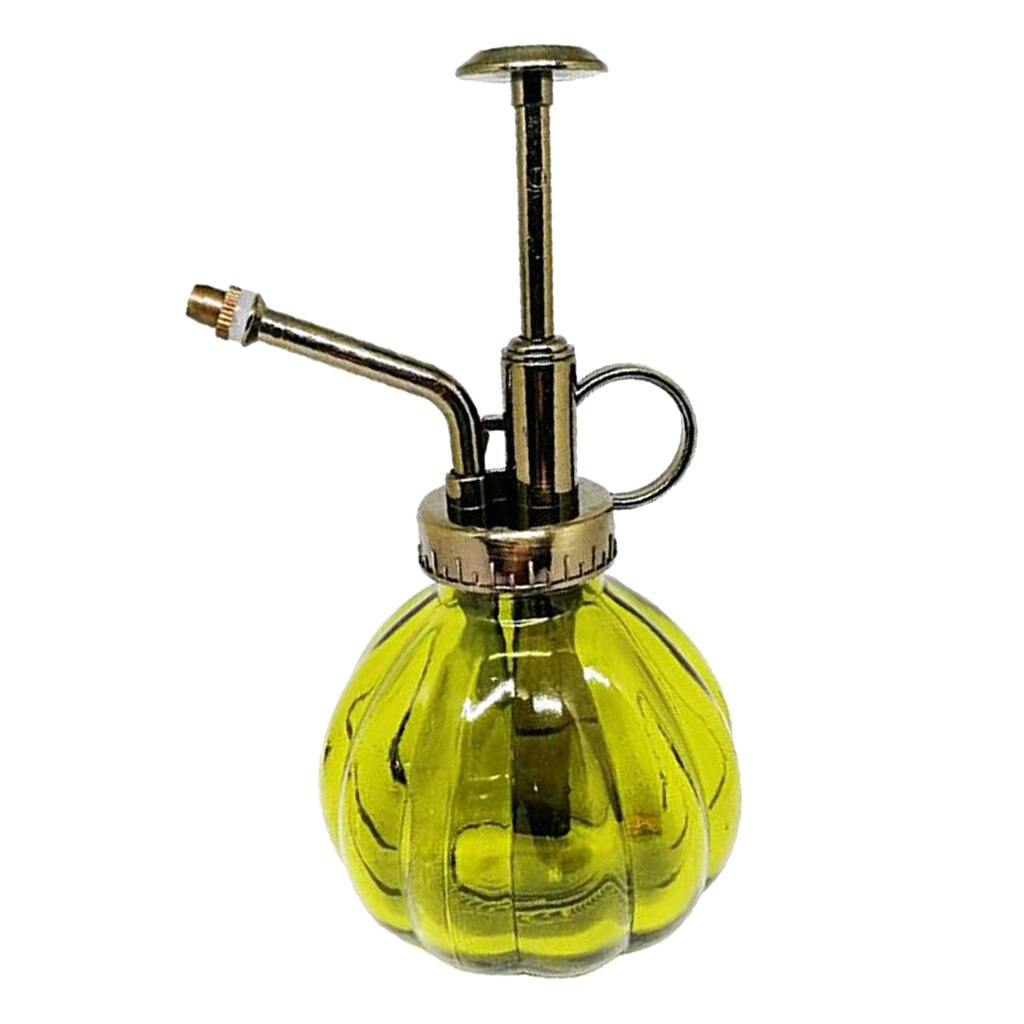 Vintage spuitfles, drukspuitfles, tuinplant, bloem, waternevelfles, glazen fles, decoratief voor thuis: Groente