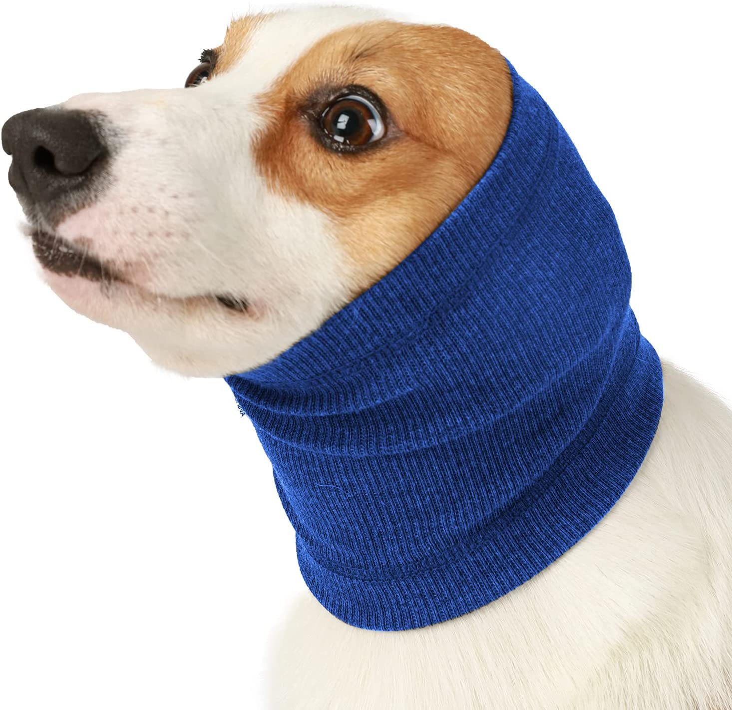 Igh igh lalastic og og roomarmuffs roombraço ooise-roof telhado Dogs ats ar over sobre loloth at em roe ar ar rorotector nnxiety elielief et et uppupplie: S / Azul
