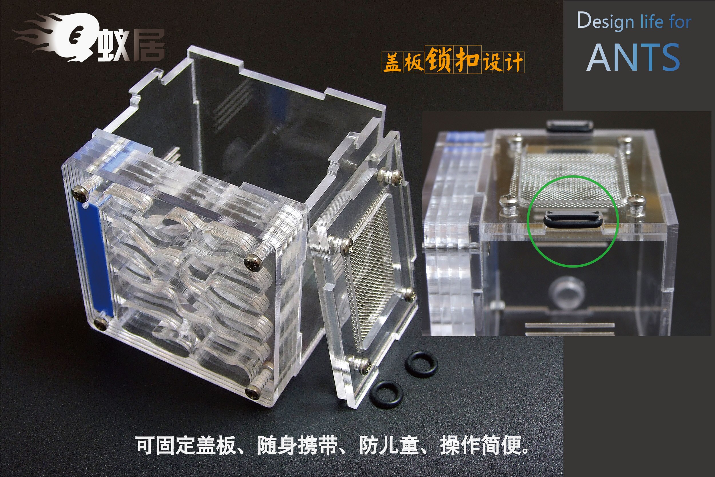 Pet Ant/Q Formic House/Acrylic Nest/Ant Villa/Ant Home/Non-Ant Workshop Ants Farm House