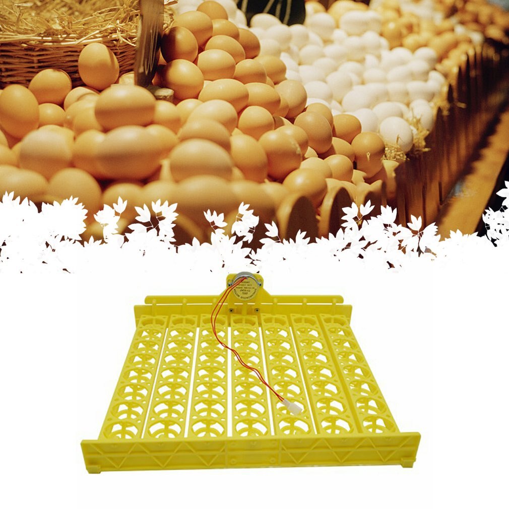 High Incubation Rate Uniform Heating Bird Egg Incubator Automatic Egg Turning Hollow And Breathable Egg Tray