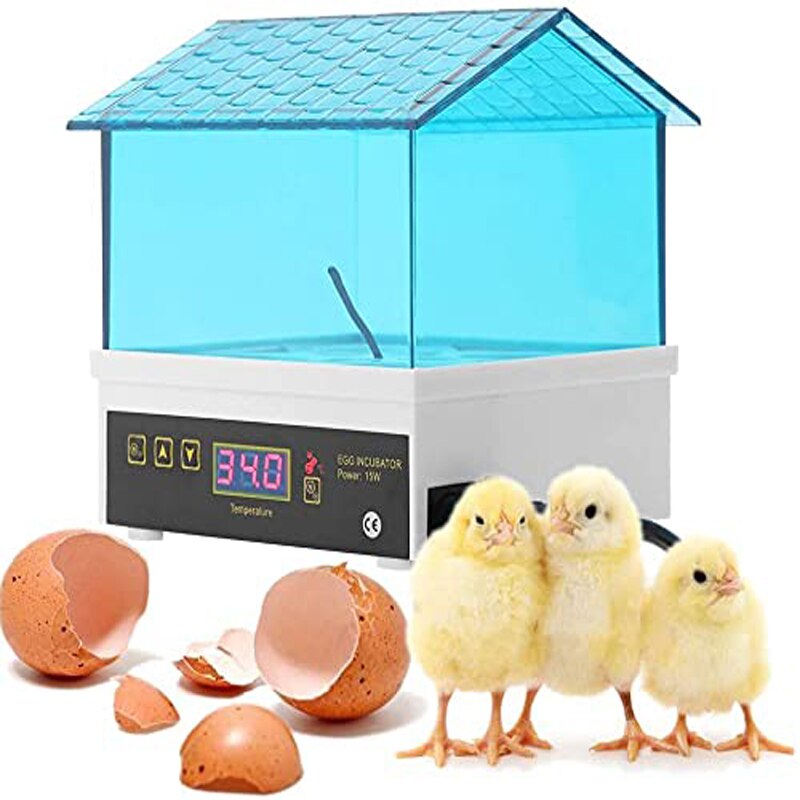 4 kpl munahautomo hautomo mini digitaalinen lämpötila brooder farm brooder viiriäinen muna hautomo hautomo laitteet lapsille