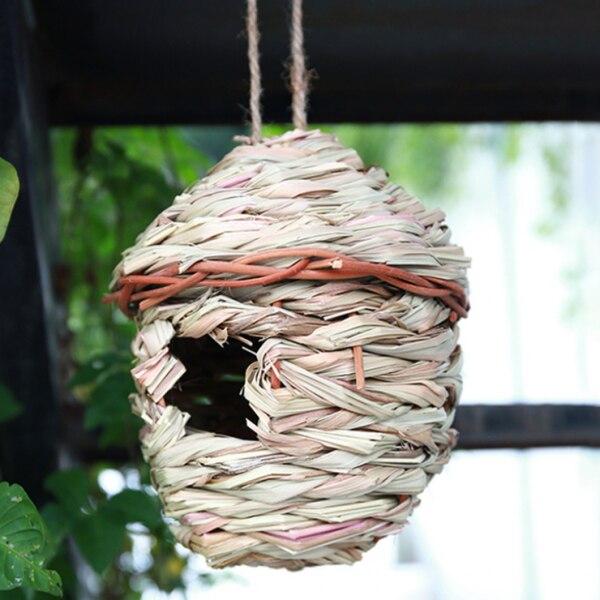 Ptasie gniazdo gniazdo hodowlane budka na ptaki dzika trawa splot kanarek zięba papużka falista Dom