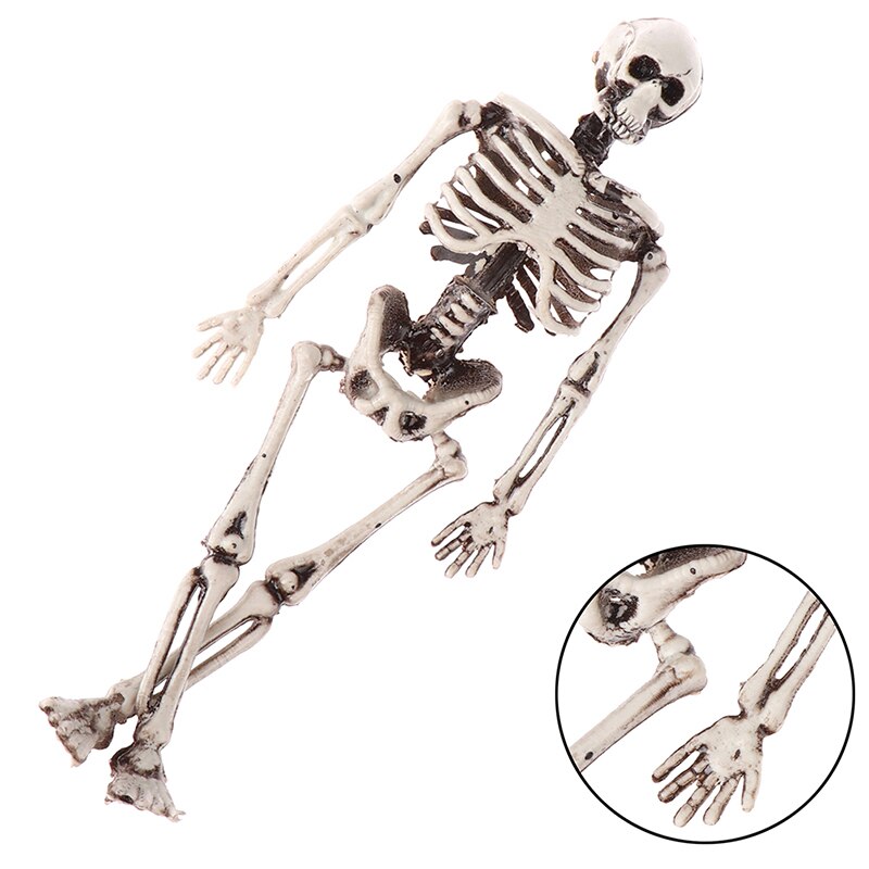 Skelet Model Leer Hulp Anatomie Art Sketch 15 CM Halloween Flexibele Menselijke Anatomische Anatomie Bot