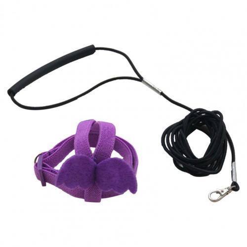 Lange Kabel Vogel Harnas Leash Anti-Bite Training Touw Decoratieve Lichtgewicht Parkiet Papegaai Vest Touw Voor Valkparkiet Kleine Vogels: XS / Paars