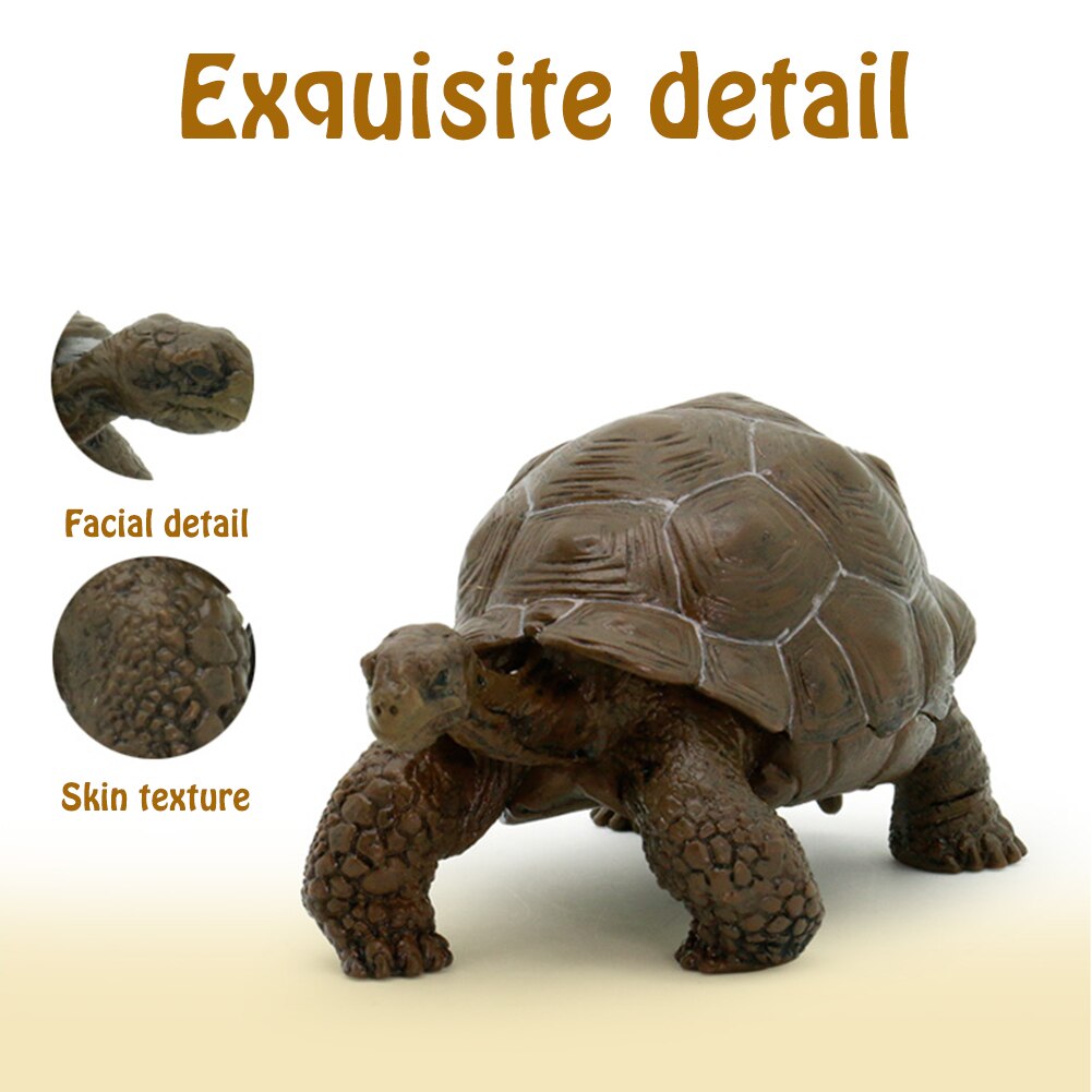 3inch Galapagos Tortoise Turtle Model Figure Animal Toy - Collectable #W0