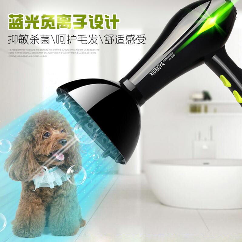 Electric Pet Hair Dryer High Power Dog Blower Golden Hair Teddy Cat Small Large Dog Blowing Machine Heater