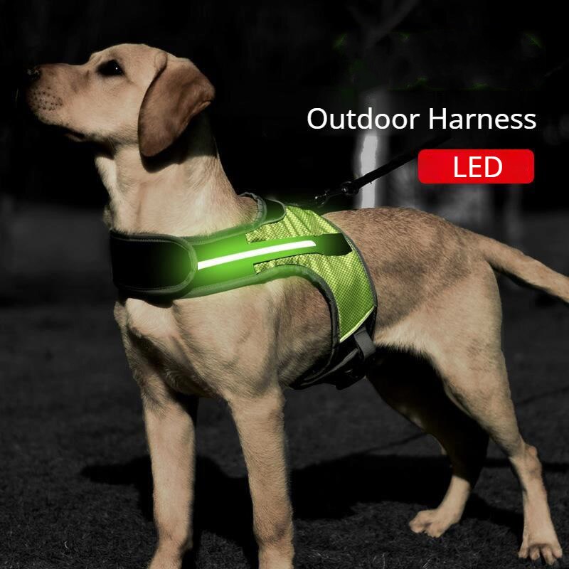 Led Lichtgevende Hond Harnas Huisdier Borst Harnas Ademend Warmteafvoer Outdoor Night Tractie Medium Grote Honden Supplies