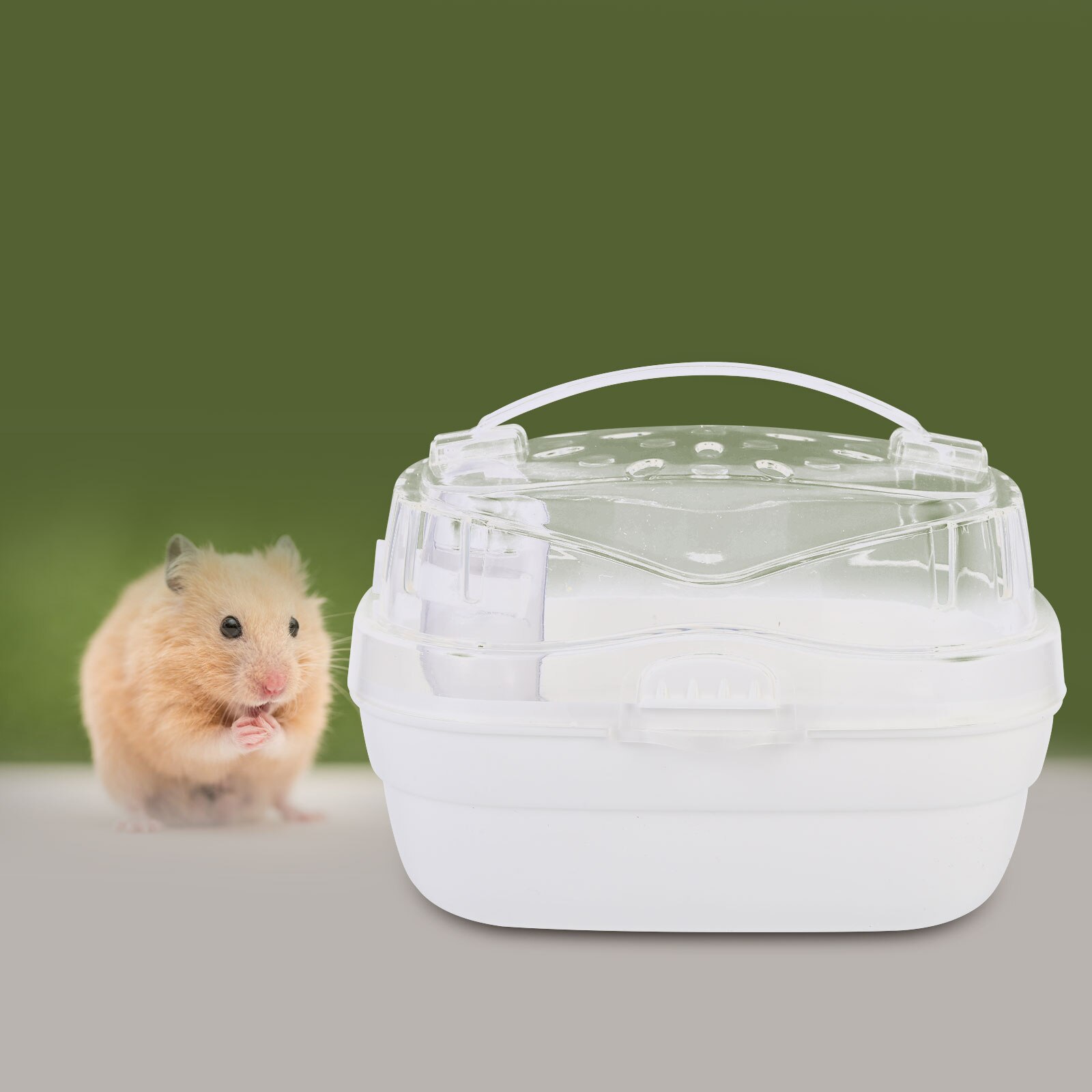Pet Carry Box Outdoor Hamster Cage Guinea Carrying Box Portable Hamster Carrier for Travel
