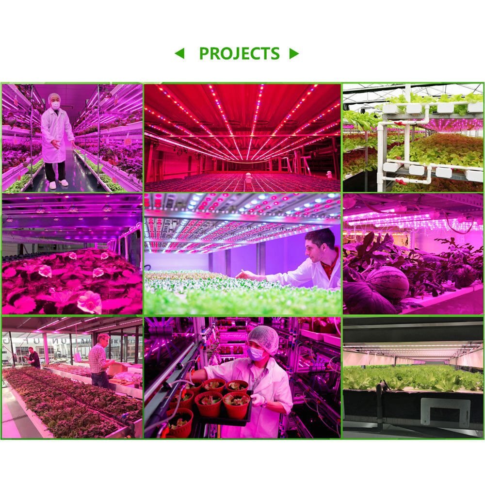 5050 Led Strip Voor Planten Groeien led licht groeien phyto lamp voor planten phytolamp voor zaailingen phyto lamp voor planten groeiende Groei