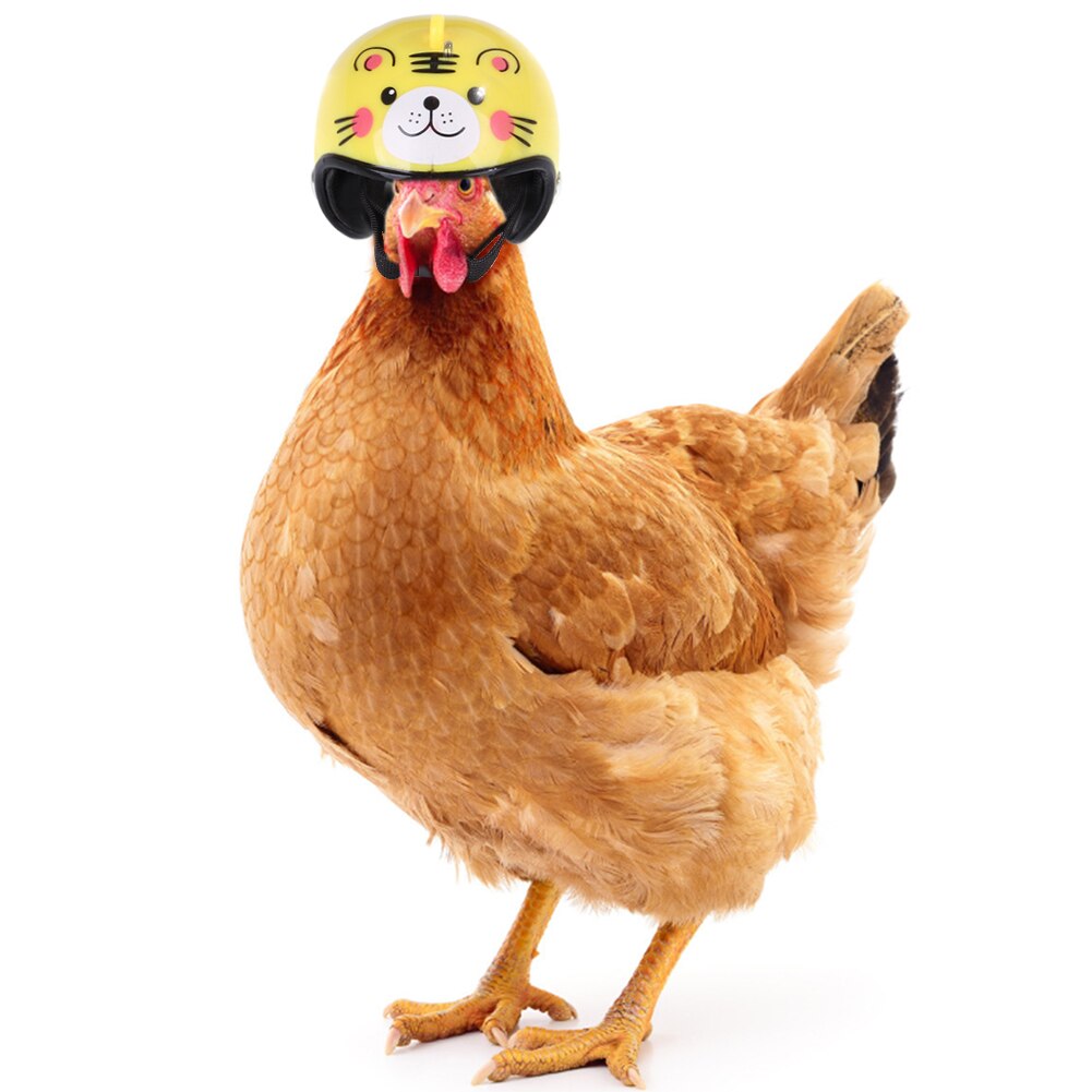 Casque de poulet pour animaux de compagnie petit animal de compagnie volaille oiseau canard couvre-chef chapeaux tête protecteur oiseau tête casque fournitures pour animaux de compagnie 1 pièces