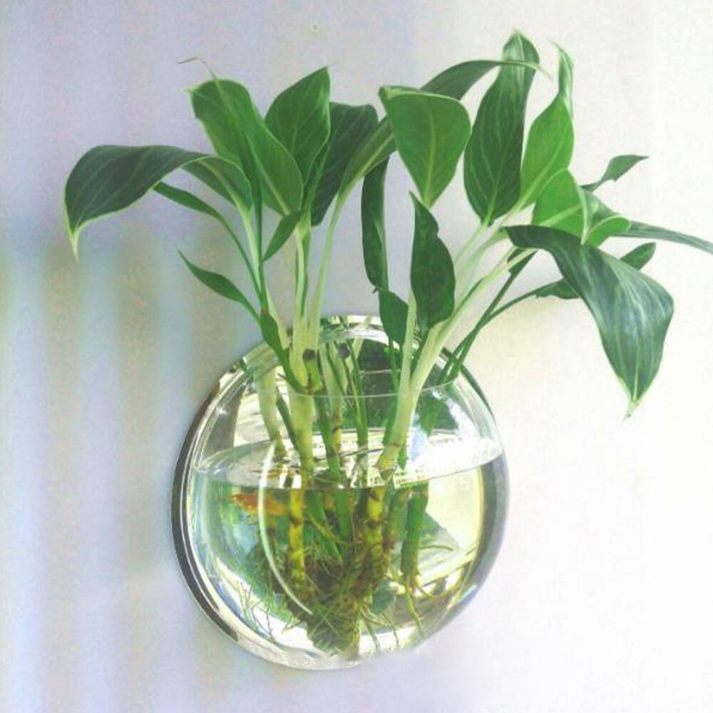Pecera de plexiglás acrílica colgante para pared, pecera para acuario, productos para mascotas acuáticas, pecera de montaje en pared para peces Betta