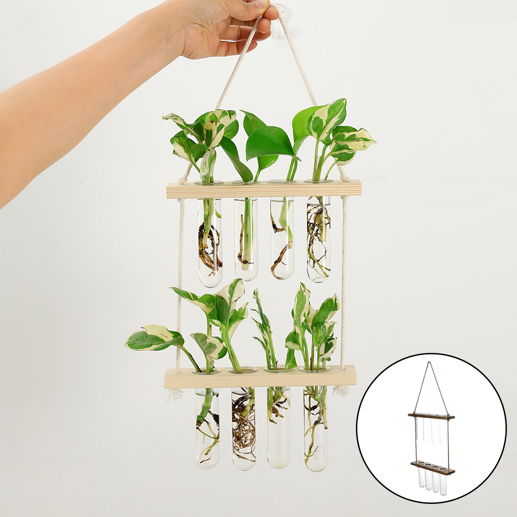 Terrario colgante de pared, plantador de flores, propagador para cortar, decoración de jardín
