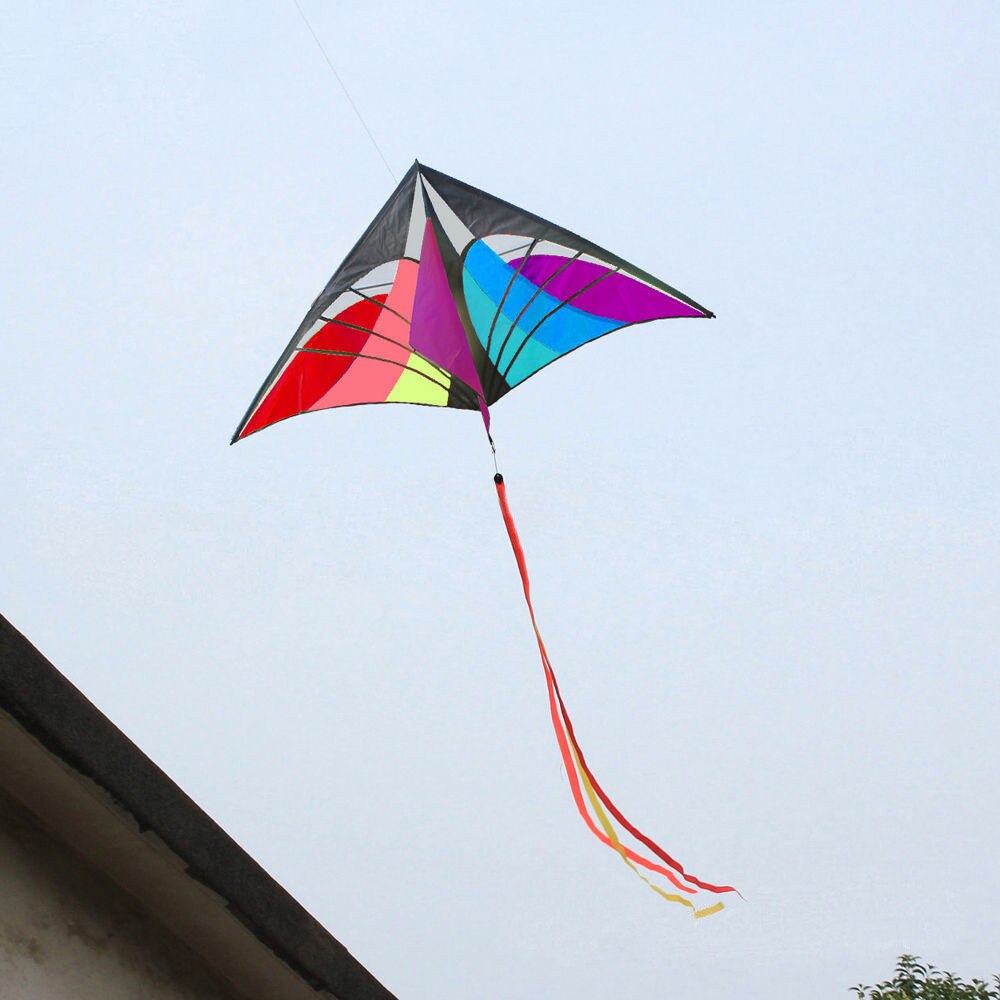 Stunt Power Kite Outdoor Sport Fun Toys Novelty Dual Line Delta Kite