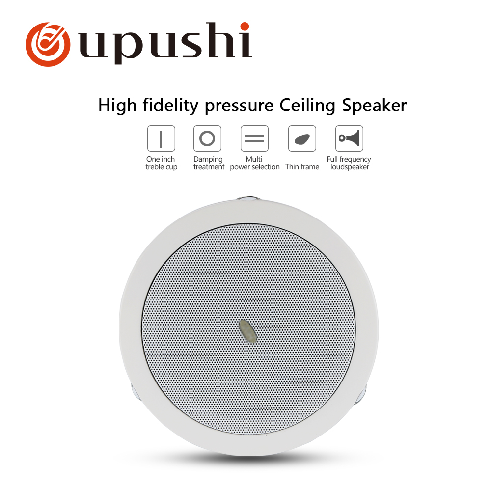 Hifi In-Ceiling Speaker System 5.25 Inch 6-10W