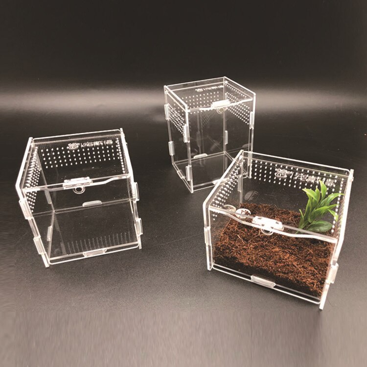 Reptile Tank Insect Spiders Tortoise Lizard Acrylic Transparent Breeding Box Vivarium Lid Reptile Pet Product Terrarium S/L Size