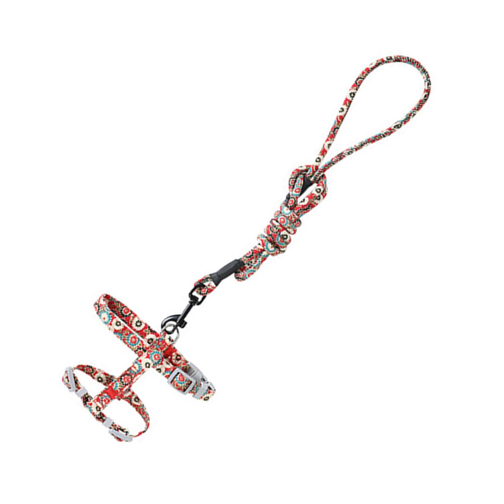 Harnais pour chat, laisse, ceinture, collier, sangle en forme de I, corde de guidage pour chiot, chaton, chiot, marche en plein air: L-Green
