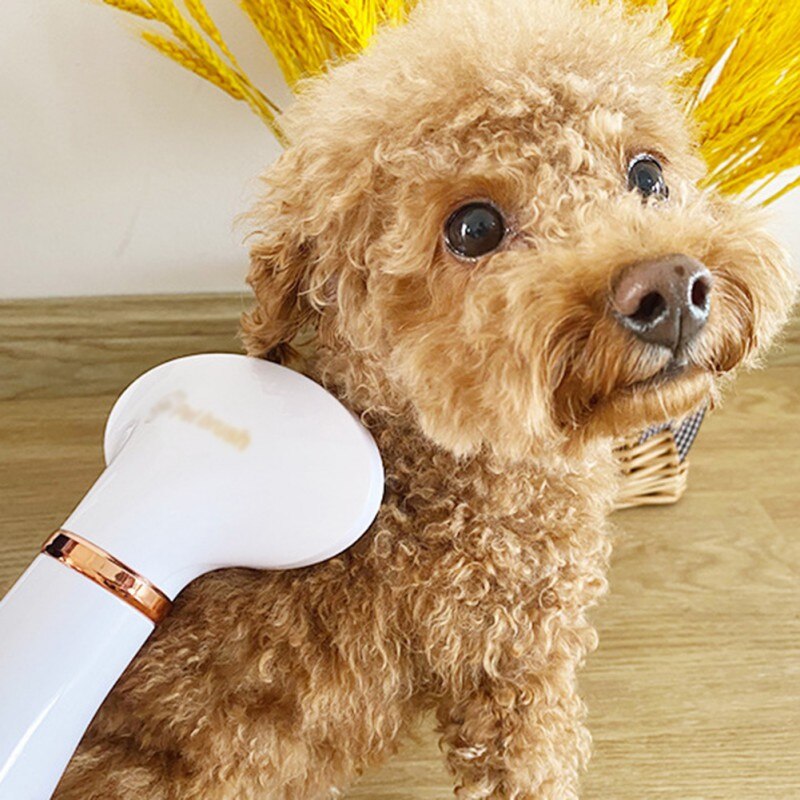 2 w1 przenośna suszarka robić włosów dla zwierząt cicha pielęgnacja zwierząt domowych suszarka robić włosów dmuchawa z szczotka wygładzająca kot grzebień dla psa suszarka robić włosów dla zwierząt grzebień suszarka robić włosów niski poziom hałasu